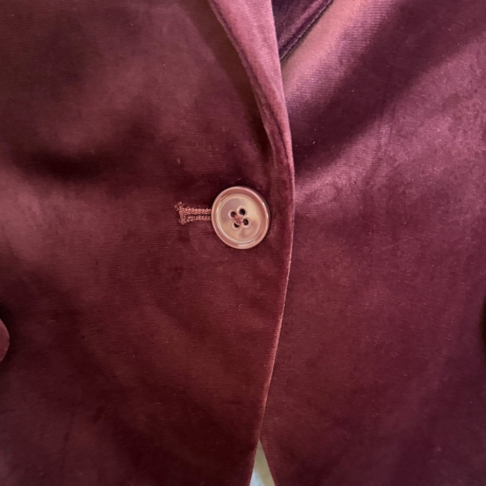 White House Black Market Deep Burgundy Velour Blazer - Picture 4 of 16